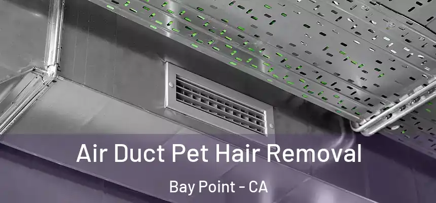 Air Duct Pet Hair Removal Bay Point - CA