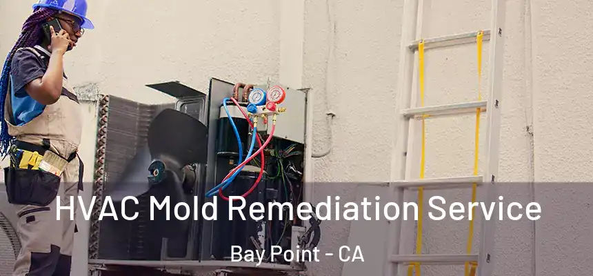  HVAC Mold Remediation Service Bay Point - CA