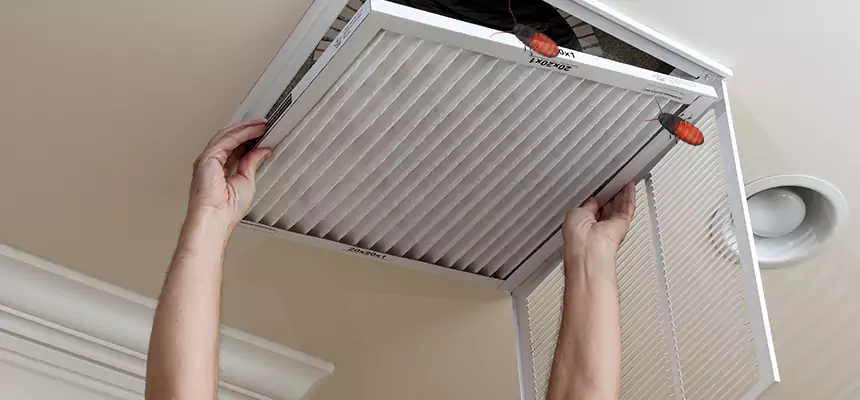Our Insect Removal from Air Ducts Services in Bay Point, CA