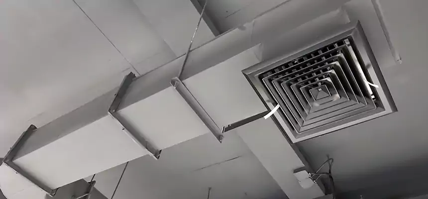 Our Pest Removal From Ducts Services in Bay Point, CA