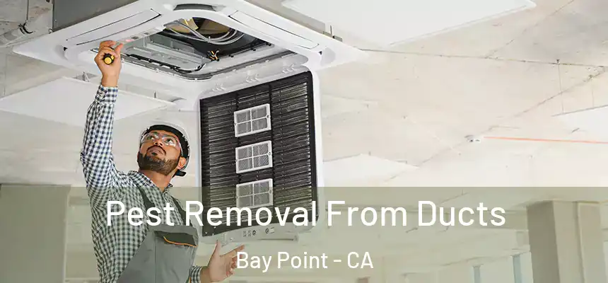  Pest Removal From Ducts Bay Point - CA