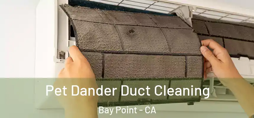 Pet Dander Duct Cleaning Bay Point - CA