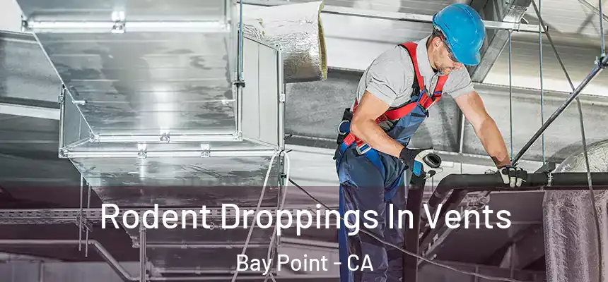 Rodent Droppings In Vents Bay Point - CA