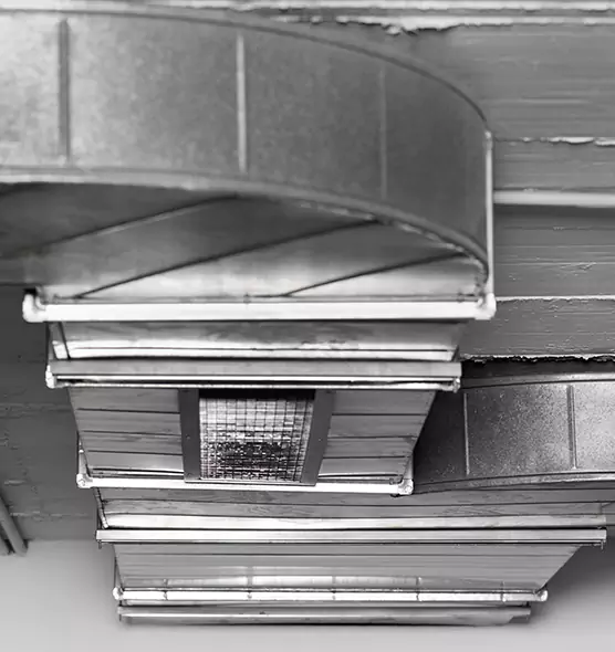 Professional Air Duct Pest Removal in Bay Point, CA