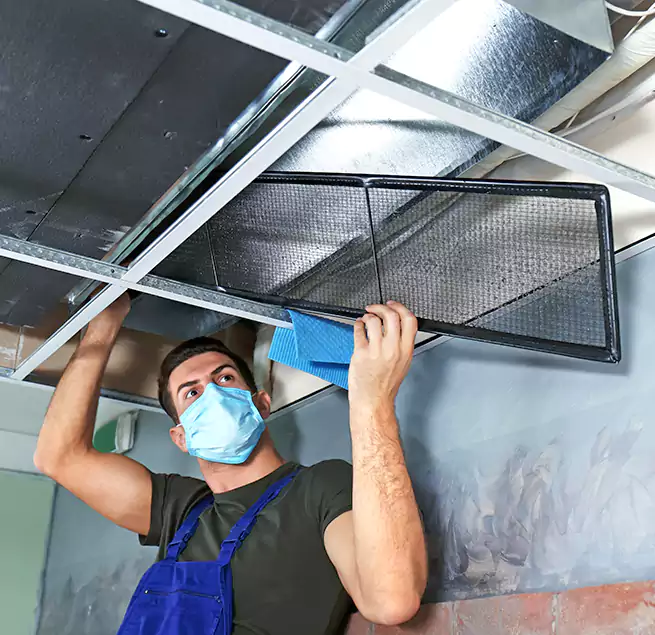 Why Homeowners Businesses Trust Us in Bay Point, CA